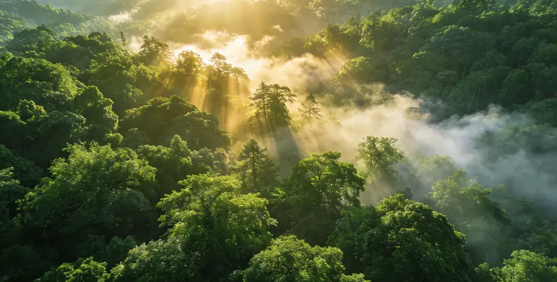 天津肺癌靶向39基因检测及PDL122C3表达检测套餐（组织）图片1