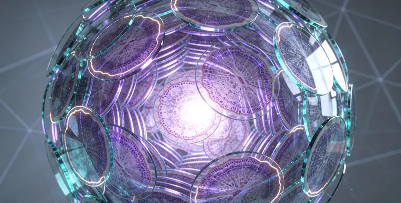 肿瘤600+基因全面用药基因及PDL122C3表达检测套餐（组织）图4